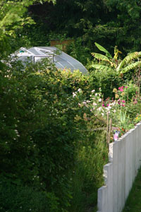 Blick vom Sdausgang auf das Gewchshaus und die Banane