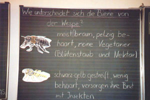 Wissenswertes an der Tafel